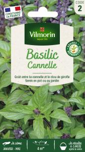 Basilic Cannelle